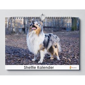 Sheltie kalender 35x24 cm | Verjaardagskalender Sheltie | Hondenras Sheltie | Verjaardagskalender Volwassenen