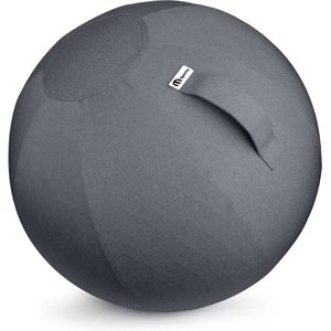 M sports -Fitness Yoga Bal Exercise Ball Gym Bal 55cm- incl wasbare hoes - incl pomp - Grijs