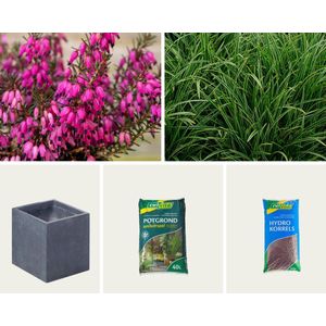 Gevulde plantebak - Luxor plantenbak antraciet (L)50 x (B)50 x (H)50 cm | Default