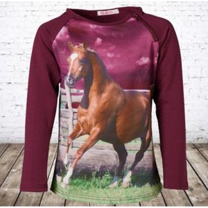 Paarse kindertrui met paard F33 -s&C-98/104-Trui meisjes