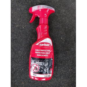 2x Glasreiniger 500ml