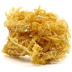 Irish Sea Moss - 92 Mineralen -  Organic & Vegan