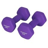 Nancy's Hybla Dumbbells - Halterset - Set Van 2 - 2 x 2 kg - Korte Halters - Paars - Vrouwen