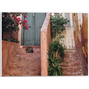 PVC Schuimplaat - Bruine Kat op Trap voor Groene Deur met Bloemen en Planten - 40x30 cm Foto op PVC Schuimplaat (Met Ophangsysteem)