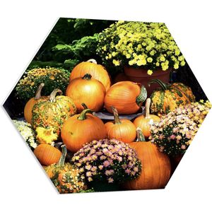 PVC Schuimplaat Hexagon - Herfsttafereel van Pompoenen en Bloempotten bij Boom - 80x69.6 cm Foto op Hexagon (Met Ophangsysteem)