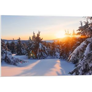 PVC Schuimplaat - Zonsondergang achter Bomen in Besneeuwd Landschap - 75x50 cm Foto op PVC Schuimplaat (Met Ophangsysteem)