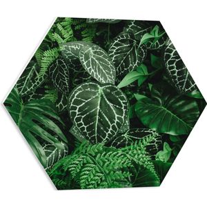 PVC Schuimplaat Hexagon - Close-up van Groene Bladeren met Wit Patroon - 50x43.5 cm Foto op Hexagon (Met Ophangsysteem)
