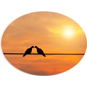 PVC Schuimplaat Ovaal - Silhouet van Liefdevolle Vogels tegen Felle Zon - 40x30 cm Foto op Ovaal (Met Ophangsysteem)