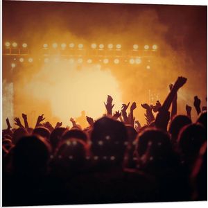 PVC Schuimplaat- Volle Concertzaal met Rook en Lampen - 80x80 cm Foto op PVC Schuimplaat
