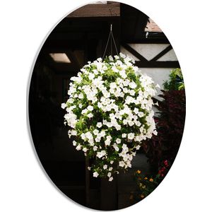 PVC Schuimplaat Ovaal - Bloemen - Tuin - Hnagen - Wit - Plantenbak - Huis - Planten - 30x40 cm Foto op Ovaal (Met Ophangsysteem)