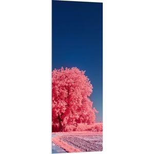 PVC Schuimplaat- Landschap - Boom - Weg - Planten - Zand - Roze - 50x150 cm Foto op PVC Schuimplaat