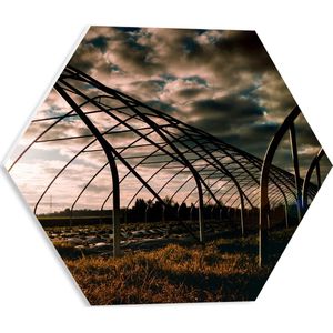 PVC Schuimplaat Hexagon - Kas - Bloemen - Planten - Gras - Landschap - 40x34.8 cm Foto op Hexagon (Met Ophangsysteem)