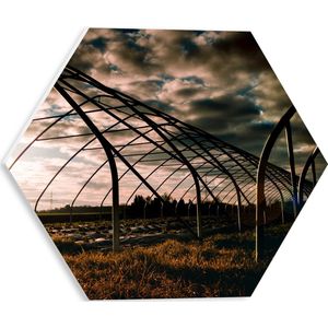 PVC Schuimplaat Hexagon - Kas - Bloemen - Planten - Gras - Landschap - 30x26.1 cm Foto op Hexagon (Met Ophangsysteem)