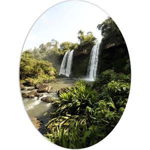 PVC Schuimplaat Ovaal - Water - Stenen - Bomen - Waterval - Planten - Groen - 60x80 cm Foto op Ovaal (Met Ophangsysteem)