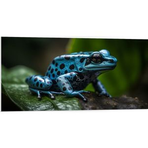 PVC Schuimplaat - Blauwe zwart gestipte gif kikker zit op blad - 100x50 cm Foto op PVC Schuimplaat (Met Ophangsysteem)