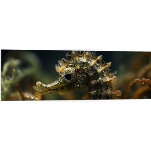 PVC Schuimplaat - Bruingekleur zeepaardje in de zee tussen onderwater planten - 120x40 cm Foto op PVC Schuimplaat (Met Ophangsysteem)