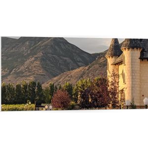 PVC Schuimplaat- Bergen - Bomen - Bloemen - Planten - Gebouw - Trap - 100x50 cm Foto op PVC Schuimplaat