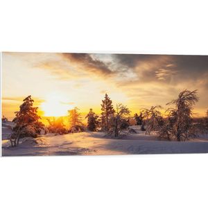 PVC Schuimplaat - Zon Zakkend achter Aantal Bomen in Besneeuwd Landschap - 100x50 cm Foto op PVC Schuimplaat (Met Ophangsysteem)