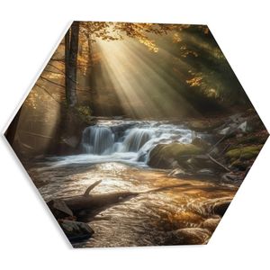 PVC Schuimplaat Hexagon - Bossen - Waterval - Water - Bomen - Stenen - 40x34.8 cm Foto op Hexagon (Met Ophangsysteem)