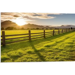 PVC Schuimplaat - Gras - Zonsondergang - Weiland - Hek - Hout - 75x50 cm Foto op PVC Schuimplaat (Met Ophangsysteem)