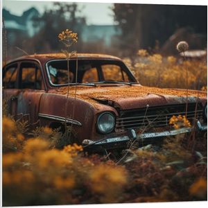 PVC Schuimplaat - Auto - Bloemen - Planten - Natuur - 80x80 cm Foto op PVC Schuimplaat (Met Ophangsysteem)
