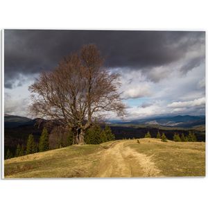 PVC Schuimplaat - Landschap - Bergen - Bomen - Gras - 40x30 cm Foto op PVC Schuimplaat (Met Ophangsysteem)