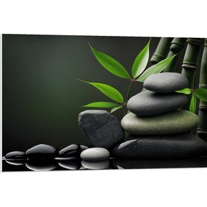 PVC Schuimplaat- Stenen - Plant - Bamboe - 90x60 cm Foto op PVC Schuimplaat