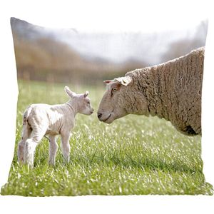 Sierkussen - Schapen Zon Gras - Multicolor - 45 Cm X 45 Cm