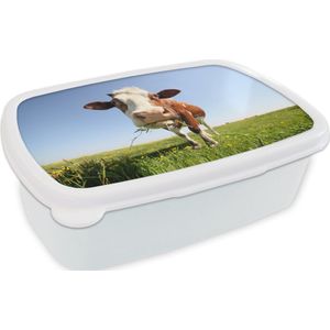 Broodtrommel Wit - Lunchbox - Brooddoos - Koe - Dieren - Bloemen - Gras - 18x12x6 cm - Volwassenen
