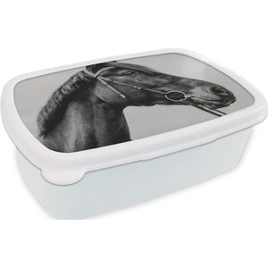 Broodtrommel Wit - Lunchbox - Brooddoos - Paard - Halster - Portret - 18x12x6 cm - Volwassenen