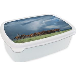 Broodtrommel Wit - Lunchbox - Brooddoos - Paarden - Cowboy - Lucht - 18x12x6 cm - Volwassenen