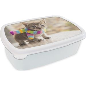 Broodtrommel Wit - Lunchbox Kitten - Sjaal - Kleuren - Meisjes - Kinderen - Jongens - Kindje - Brooddoos 18x12x6 cm - Brood lunch box - Broodtrommels voor kinderen en volwassenen