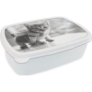 Broodtrommel Wit - Lunchbox - Brooddoos - Kitten - Sjaal - Kleuren - Meisjes - Kinderen - Jongens - Kindje - 18x12x6 cm - Volwassenen