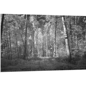 WallClassics - PVC Schuimplaat- Bos Zwart / Wit - 120x80 cm Foto op PVC Schuimplaat