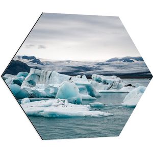 WallClassics - Dibond Hexagon - IJsblokken in het Water in Landschap - 70x60.9 cm Foto op Hexagon (Met Ophangsysteem)