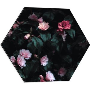 WallClassics - Dibond Hexagon - Close up van Roze Rozenstruik - 50x43.5 cm Foto op Hexagon (Met Ophangsysteem)