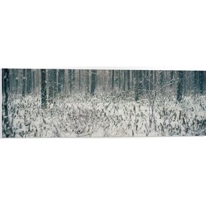 WallClassics - PVC Schuimplaat- Foto van Besneeuwde Grond - 90x30 cm Foto op PVC Schuimplaat