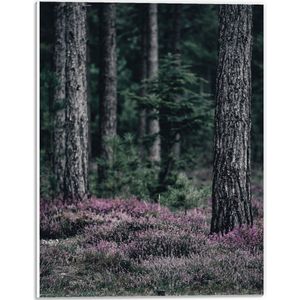 WallClassics - PVC Schuimplaat- Paarse Bloemen bij Bomen - 30x40 cm Foto op PVC Schuimplaat