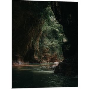 WallClassics - PVC Schuimplaat- Hoge Grot met Begroeiing - 60x80 cm Foto op PVC Schuimplaat