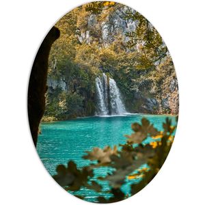 WallClassics - PVC Schuimplaat Ovaal - Kleine Waterval in Meer met Takken - 60x80 cm Foto op Ovaal  (Met Ophangsysteem)