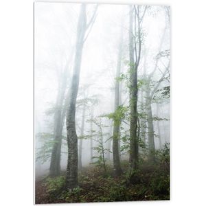 WallClassics - PVC Schuimplaat- Kale Bomen in de Mist - 60x90 cm Foto op PVC Schuimplaat
