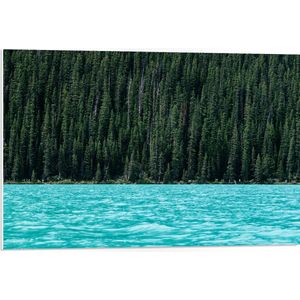 WallClassics - PVC Schuimplaat- Blauw Meer aan Groene Bosrand - 75x50 cm Foto op PVC Schuimplaat