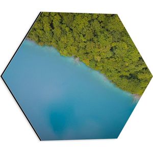 WallClassics - Dibond Hexagon - Blauwe Zee Vanuit de Lucht - 40x34.8 cm Foto op Hexagon (Met Ophangsysteem)