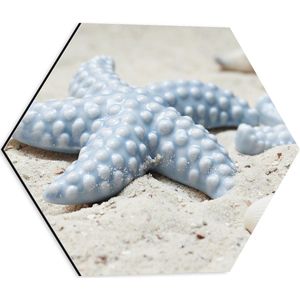 WallClassics - Dibond Hexagon - Blauwe Zeesterren op het Strand - 40x34.8 cm Foto op Hexagon (Met Ophangsysteem)