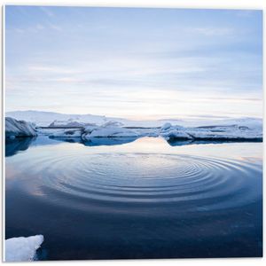 WallClassics - PVC Schuimplaat- Smeltend IJs - 50x50 cm Foto op PVC Schuimplaat