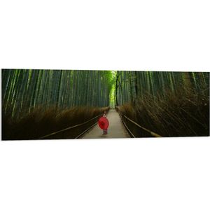 WallClassics - PVC Schuimplaat- Bamboe Bomen met Japanse Paraplu - 150x50 cm Foto op PVC Schuimplaat