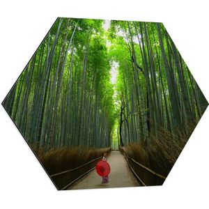 WallClassics - Dibond Hexagon - Bamboe Bomen met Japanse Paraplu - 80x69.6 cm Foto op Hexagon (Met Ophangsysteem)
