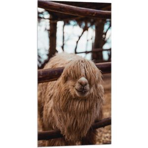 WallClassics - Vlag - Grappige Alpaca bij Hek - 50x100 cm Foto op Polyester Vlag