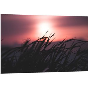 WallClassics - PVC Schuimplaat - Donkere Grassen bij Rozekleurige Lucht - 120x80 cm Foto op PVC Schuimplaat (Met Ophangsysteem)