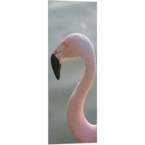 WallClassics - Vlag - Gezicht van Roze FLamingo - 30x90 cm Foto op Polyester Vlag